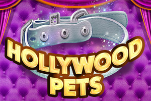 bx-hollywood-pets