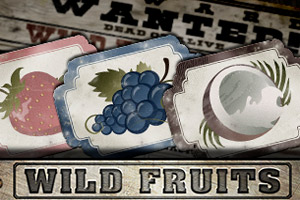 er-wild-fruits