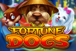 ha-fortune-dogs