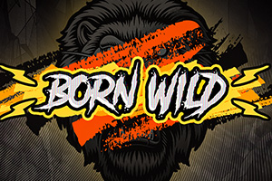 hs-born-wild