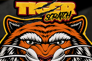 hs-tiger-scratch