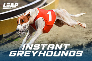 le-instant-greyhounds