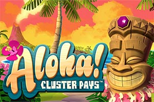 n2-aloha-cluster-pays