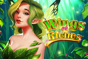 n2-wings-of-riches