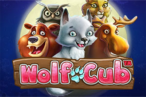 n2-wolf-cub