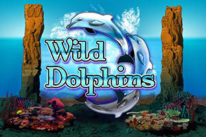 or-wild-dolphins