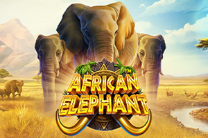 p0-african-elephant