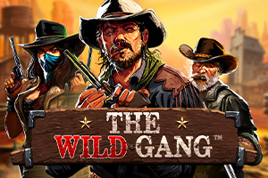 p0-the-wild-gang