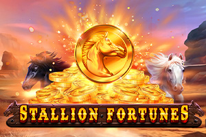 pa-stallion-fortunes