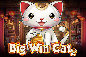 pg-big-win-cat
