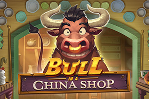 pg-bull-in-a-china-shop