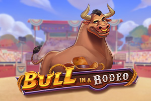 pg-bull-in-a-rodeo