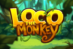 qs-loco-the-monkey