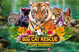 r4-big-cat-rescue-megaways