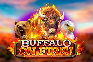 rk-buffalo-on-fire