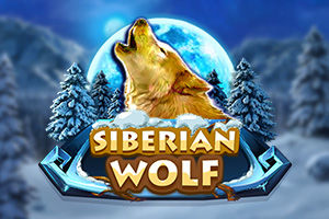 rk-siberian-wolf