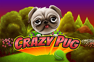 s2-crazy-pug