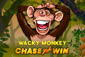 sp-wacky-monkey-chase-n-win