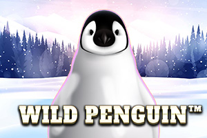 sp-wild-penguin