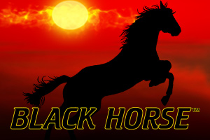 wz-black-horse