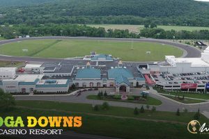 over-24-racehorses-dead-and-1-person-injured-after-man-allegedly-set-fire-to-barn-at-tioga-downs-casino-resort-complex-300x200-1